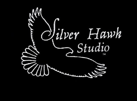 Silver Hawk Studio